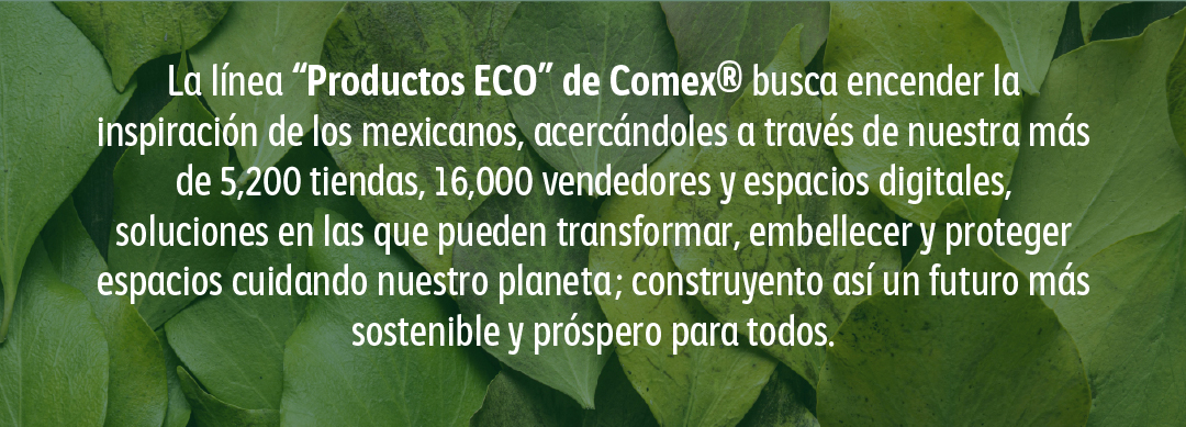 Footer ECO