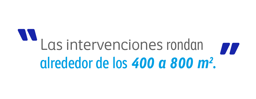 vive tus sueños