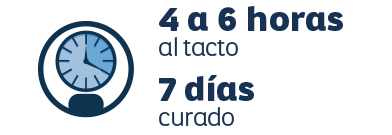 Secado
